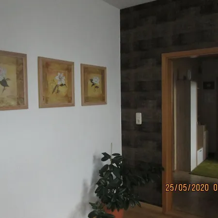 Zentrale-ruhige Ferienwohnung Reichenbach im Vogtland Exterior foto